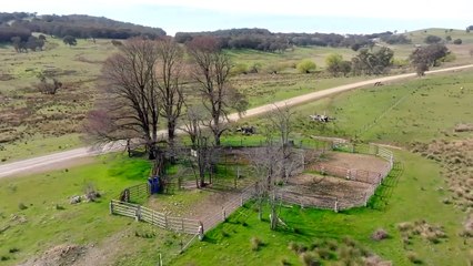 Scrubbers Bedden, Adjungbilly, NSW | December 20, 2023 | Farmonline