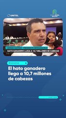 El hato ganadero llega a 10,7 millones de cabezas