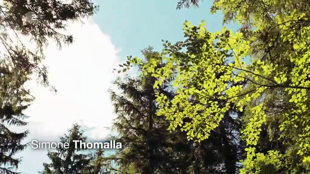 Frühling -15- Mehr als Freunde