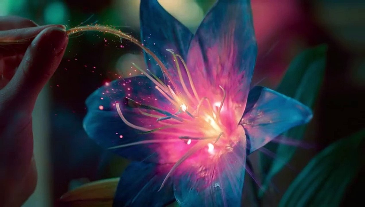 Rapunzel und die Rückkehr der Falken | movie | 2023 | Official Teaser