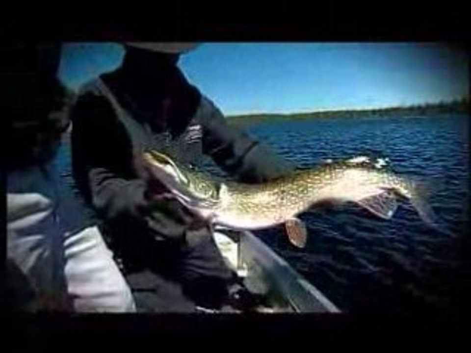 Big Fish Madness Returns Continues: Tred Barta