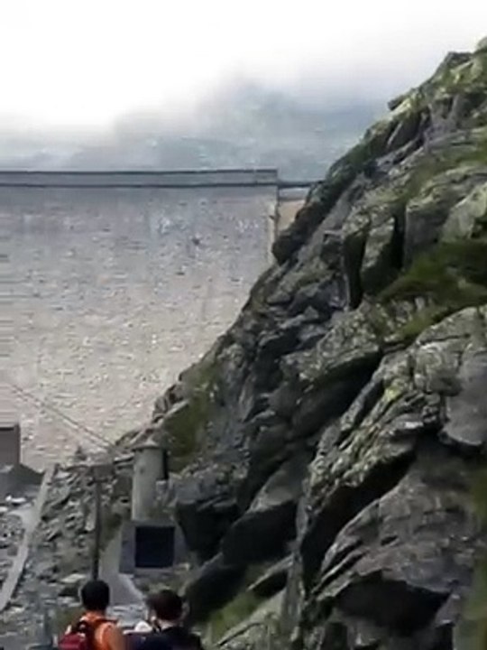 Goats_That_Laugh_At_Gravity15,000_ft⛰️#Goats(1080p)