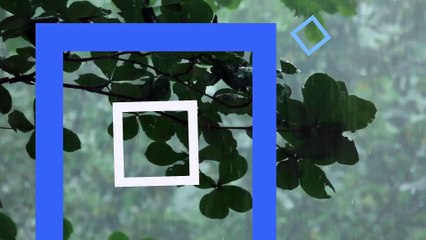 قاتل من أجل أحلامك ولو كنت وحدك"  الاجتهاد نحو الحلم