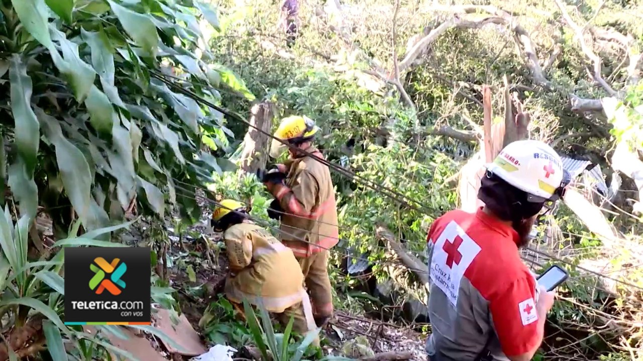 tn7-Joven muere tras caerle encima rama de árboll-191223