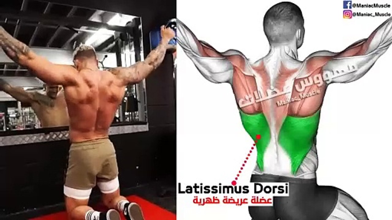 8 Best Exercise To  Lower Lats workout (V-TAPER)