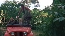 Amazon Jungle Ka Rahasya Wali movie _ Amazon Rainforest Forest Video Hindi(360P)