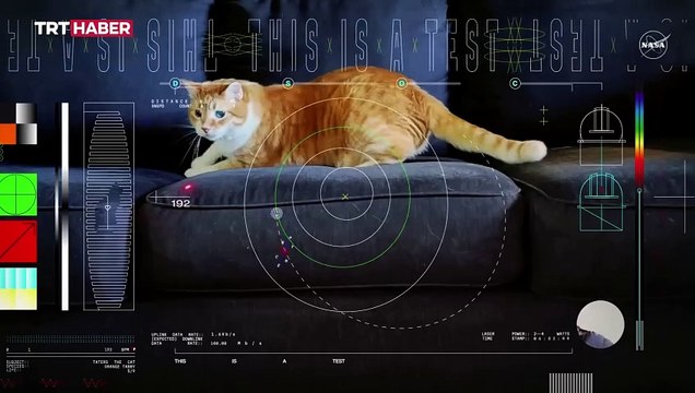 NASA, 31 milyon kilometre öteden Dünya'ya kedi videosu gönderdi