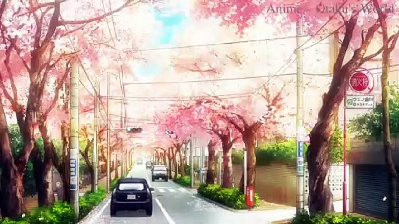 [AMV] Shigatsu wa Kimi no Uso (Nỗi Đau Xót Xa - Minh Vương)