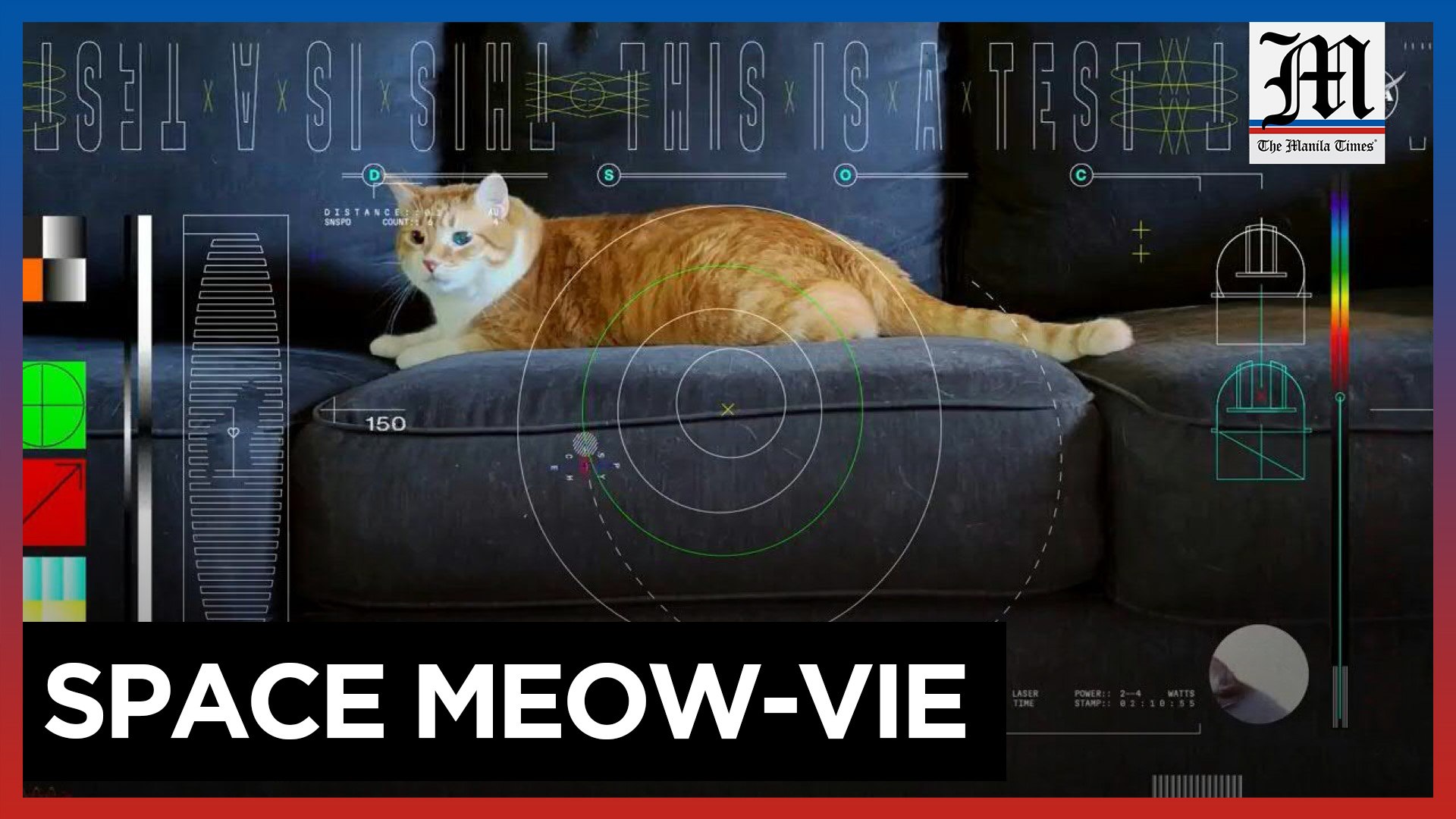The feline frontier: NASA sends cat video from deep space - video  Dailymotion