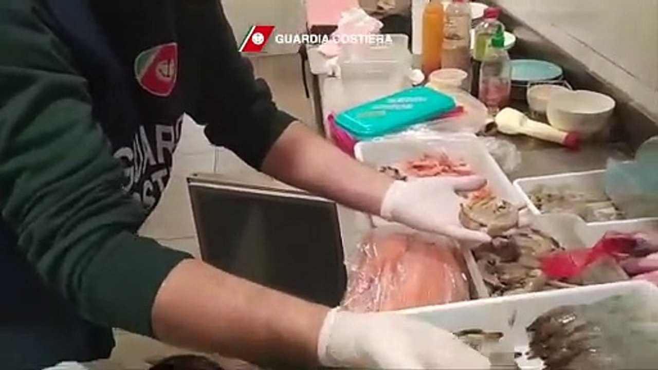 Palermo, maxi sequestro di pesce non tracciabile