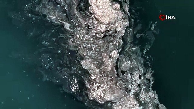 Marmara Denizi'nde korkutan görüntü!