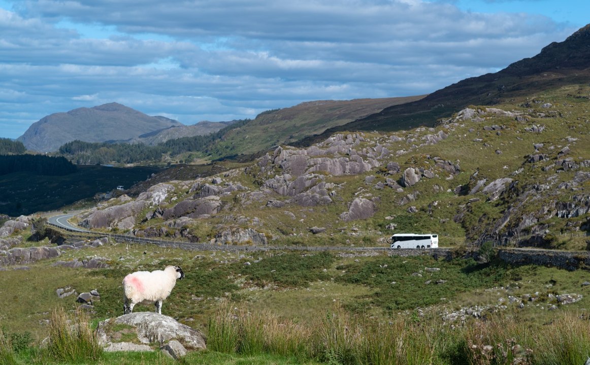 Common Travel Area review call after ‘ridiculous’ case of Derry priest who couldn’t go on Donegal bus run