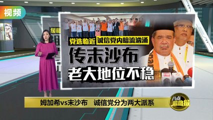 诚信党即将举行党选，争夺署理主席引发内部分裂风险🔍