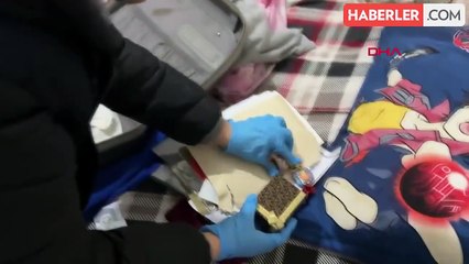 Zonguldak'ta 'sazan sarmalı' yöntemiyle 13 milyon liralık vurgun