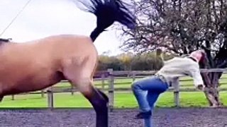 Horse power