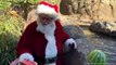 Animals At Cincinnati Zoo Get Visit From Santa