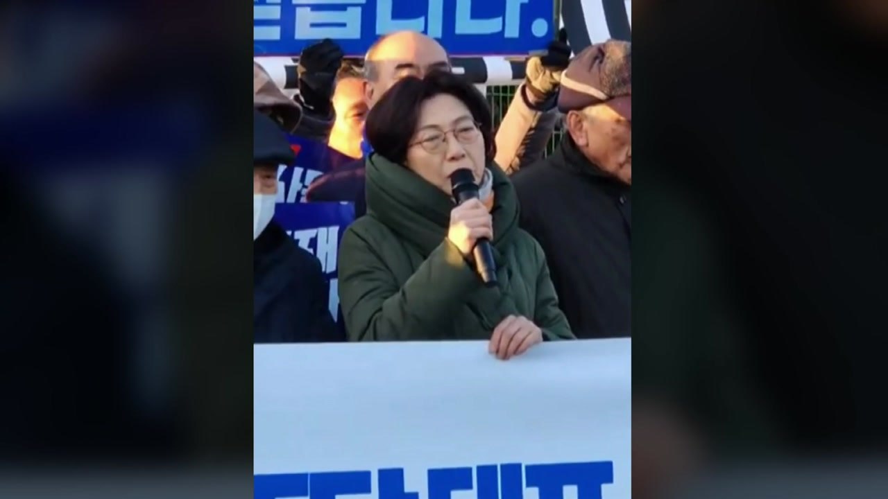 송영길 아내 "남편 구속되니 한동훈 국회로...정치 기획 구속" / YTN