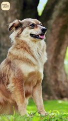 मेरा अड्डा, मेरा देश! || आचार्य प्रशांत