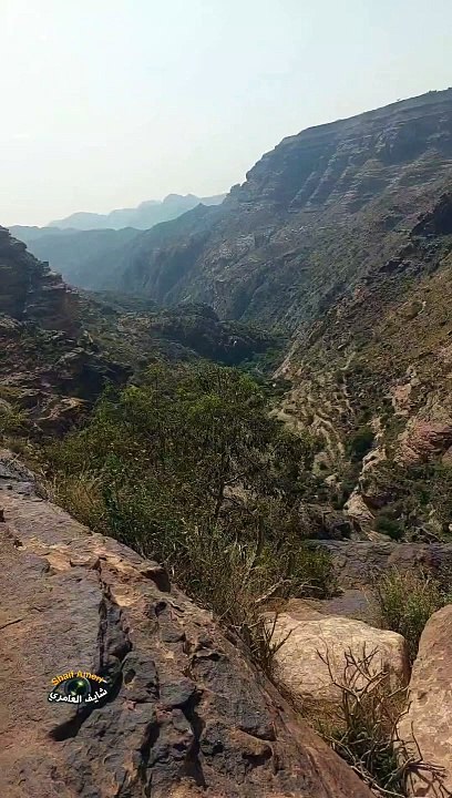 فوق الجبل حيث وكر النسر واقف بطل