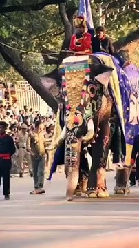 हाथी अर्जुन की मौत की जांच करने हासन पहुंची टीम