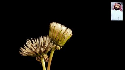 قران صوت خاشع ومبكي ومؤثر جدا