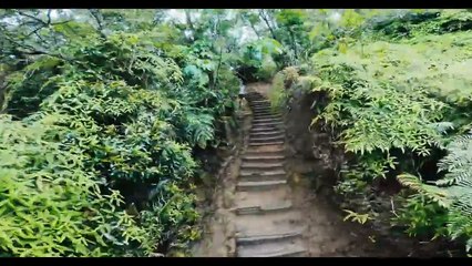 'Braving the Peak' - Tráiler oficial