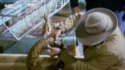 كشف خبايا المومياوات - لعنة بيلامي - الحلقة 3 _ الشرق ديسكفري