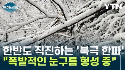 한반도로 직진하는 '북극 한파'..."폭발적으로 눈구름 만들어지는 중" [Y녹취록] / YTN