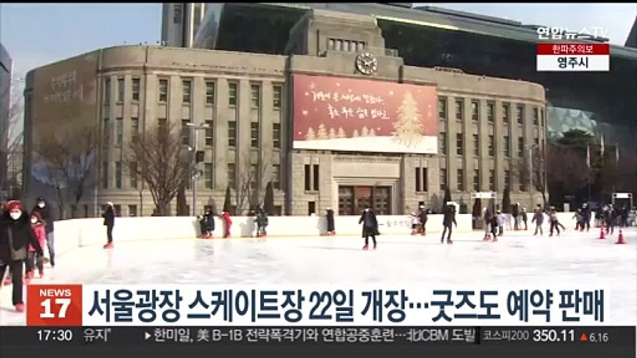 서울광장 스케이트장 22일 개장…굿즈도 예약 판매