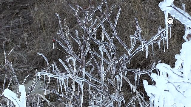 Erzurum, Kars ve Ardahan'da soğuk hava etkisini sürdürüyor