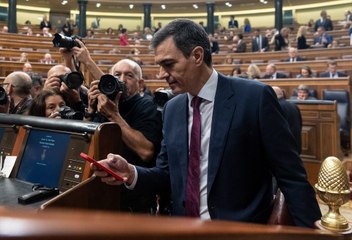 Sánchez: "En algún momento de la legislatura tendremos que abordar el reconocimiento del Estado palestino"