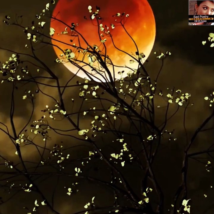 Ghazal Status Urdu Poetry Heart touching |Best Hindi | Shayari Sad Love Status For Whats-app