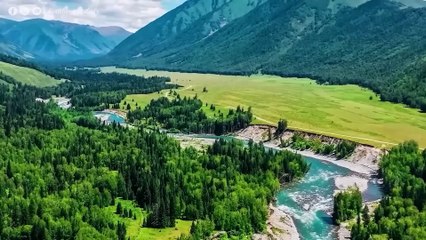 Лечебная Музыка для Снятия Стресса, Усталости, Депресии, Негатива, Детокс негативных эмоций #26