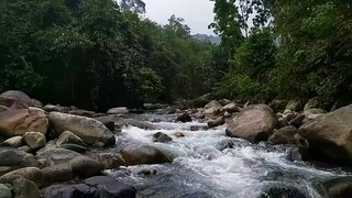 4k The relaxing sound of water is very helpful for relaxation, stress relief and many more. ASMR