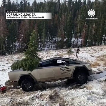 Ford Türkiye Tesla Cybertruck ile öyle bir dalga geçti ki! Türkiye’de büyük yankı buldu!