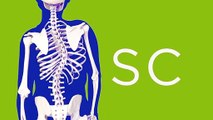 scoliosis تعرف على انحناء العمود الفقري أو الجنف