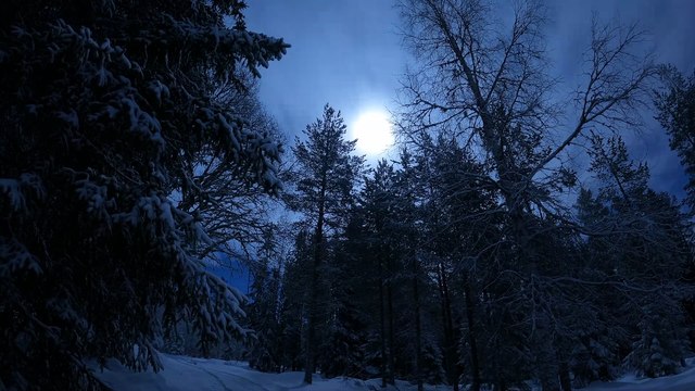 QA TESTING TELUS MODERATE THIS AS EXPLICIT OR WAIT FOR TO MODERATE IT