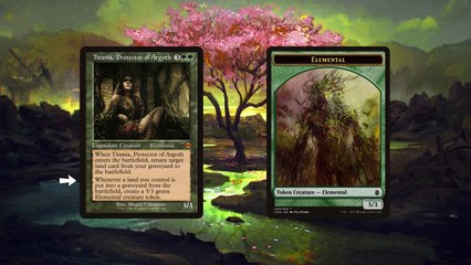 FOCUS TITANIA : DECKTECH COMPLETE COMPETITIVE (DECKTECH DUEL COMMANDER)