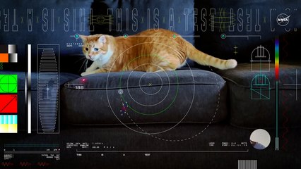 NASA 31 milyon kilometre uzaktan kedi videosu gönderdi