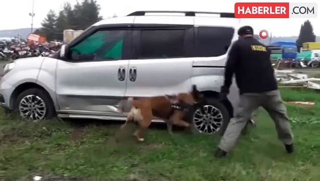 Osmaniye'de Narkotik Köpeği Poyraz, Kasım Ayının Köpeği Seçildi