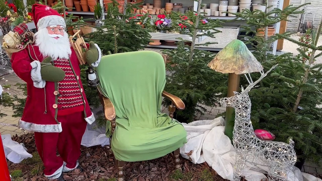 Brzesko - duży wybór choinek,  jaką choinkę wybrać