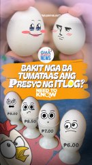 Bakit tumataas ang presyo ng itlog? | Need to Know