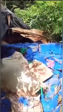 PF e BPFron apreendem mais R$ 9 milhões em maconha em Francisco Alves