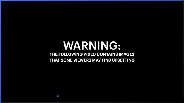 Dog thrown off Australian car park by woman who posts tribute to dog on Facebook