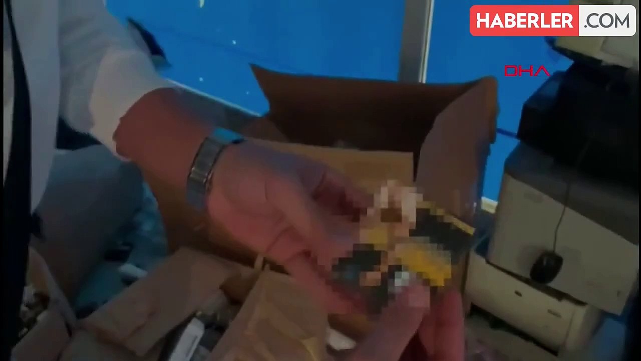 İstanbul'da Kaçak İlaç Operasyonu: Tüp Bebek ve Organ Nakli İlaçları Ele Geçirildi