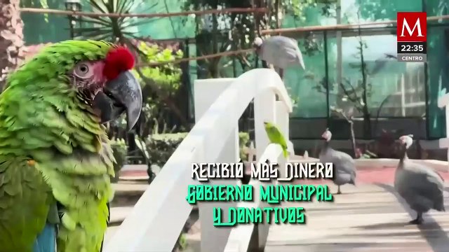 Animales del Zoológico de Ecatepec recuperan bienestar con aumento de fondos y donaciones