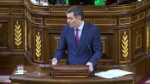 Intervención de Pedro Sánchez en el Congreso de los Diputados