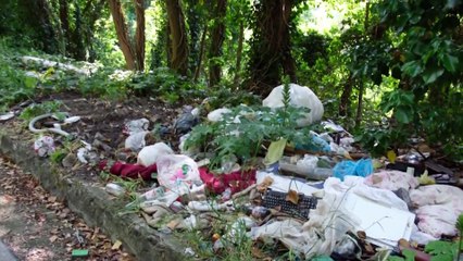 Buttavano rifiuti sui colli, immortalati dalle fototrappole