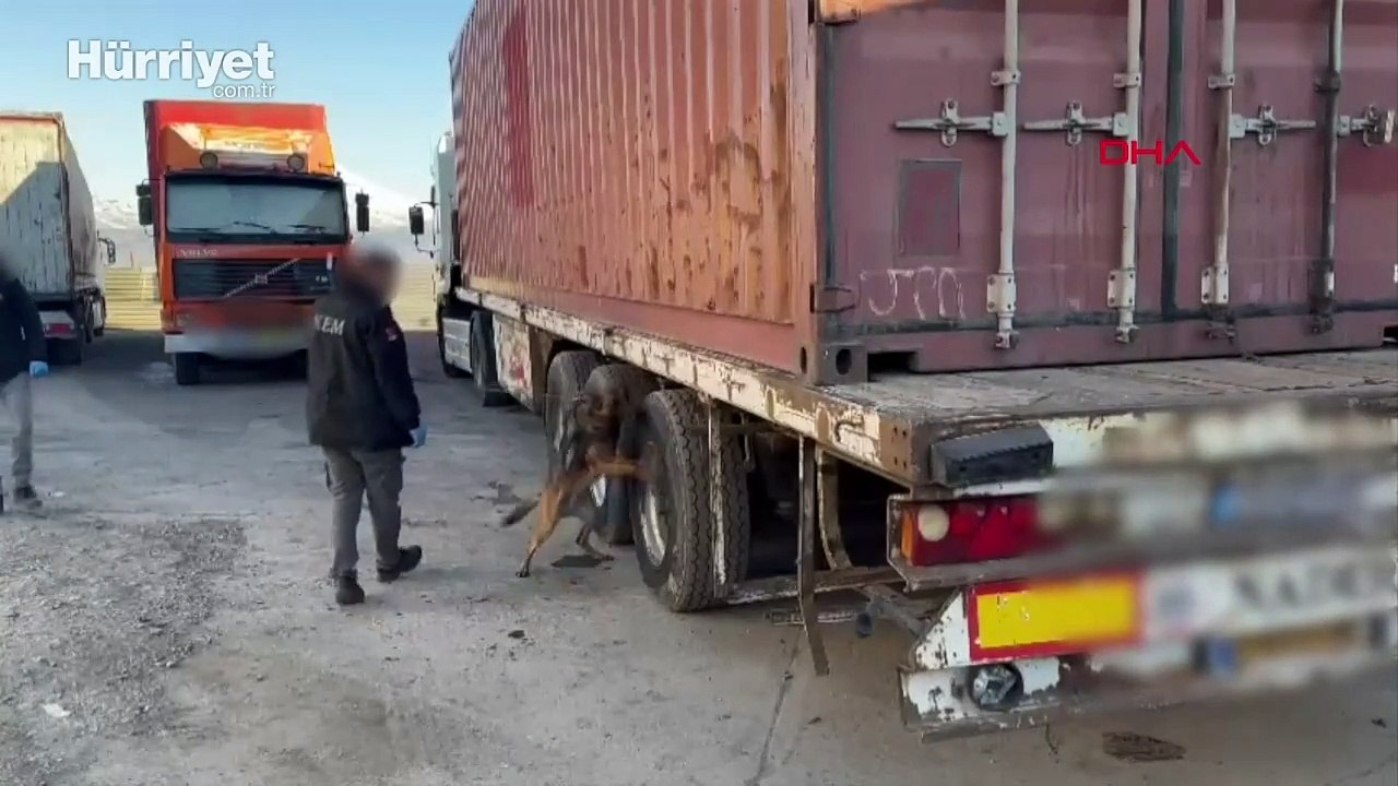 Kapıkule Gümrük Kapısı’nda 33 adet piton ele geçirildi