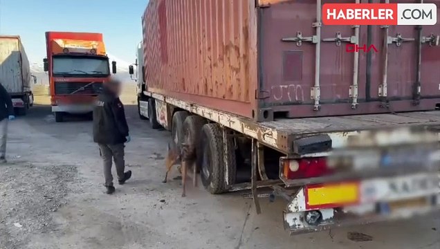 Kapıkule Gümrük Kapısı'nda 33 piton ele geçirildi
